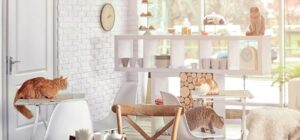 Home Design Tips for Cat Owners